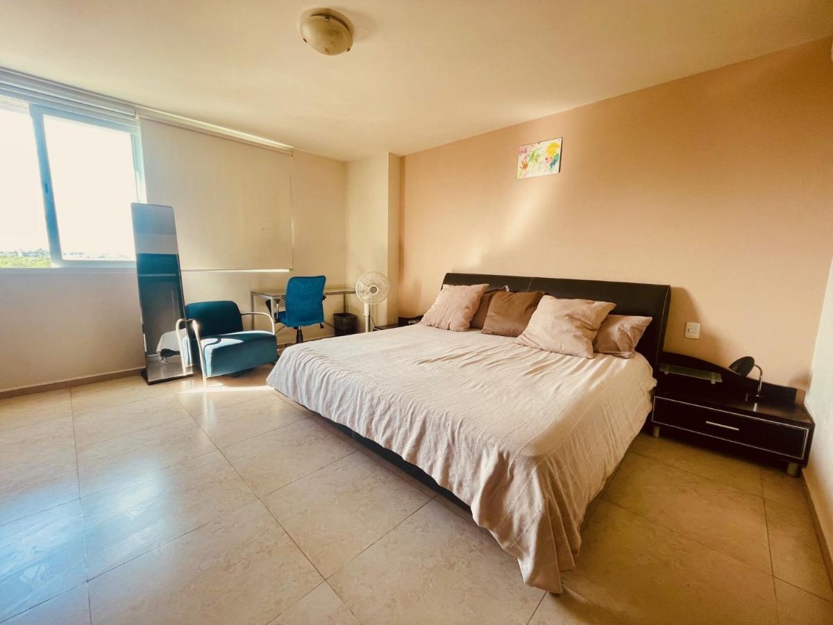 Punta Me Luxury Apartments Ocean View & Beach Front In Amara קנקון מראה חיצוני תמונה